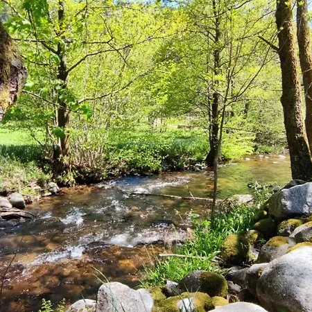 Appartamento Chez La Malou La Bresse Esterno foto